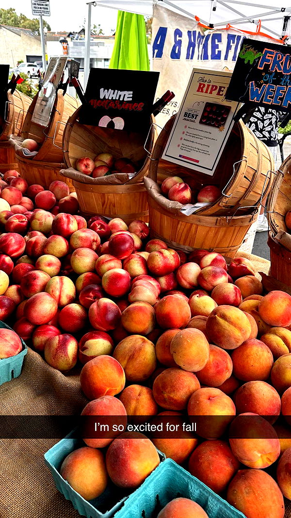 emilyelizabbeth image ~ Altpins