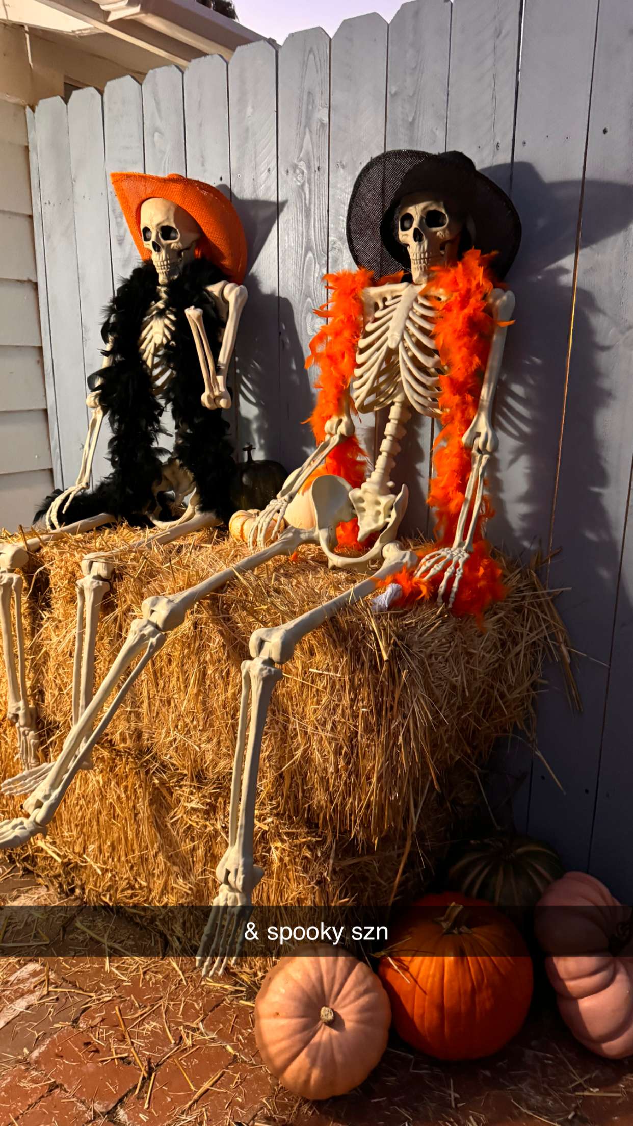 emilyelizabbeth snapchat image archive image