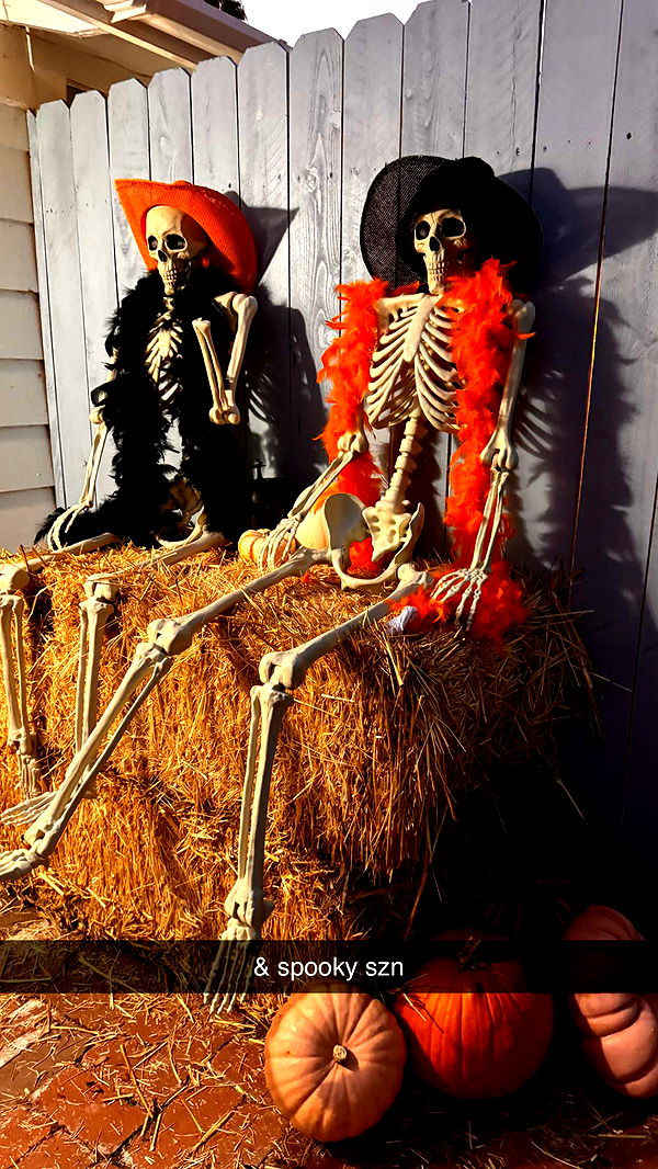 emilyelizabbeth image ~ Altpins