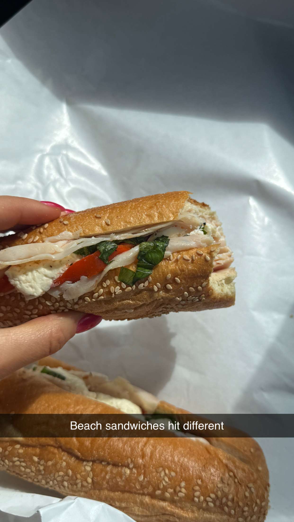 emilyelizabbeth snapchat image archive image