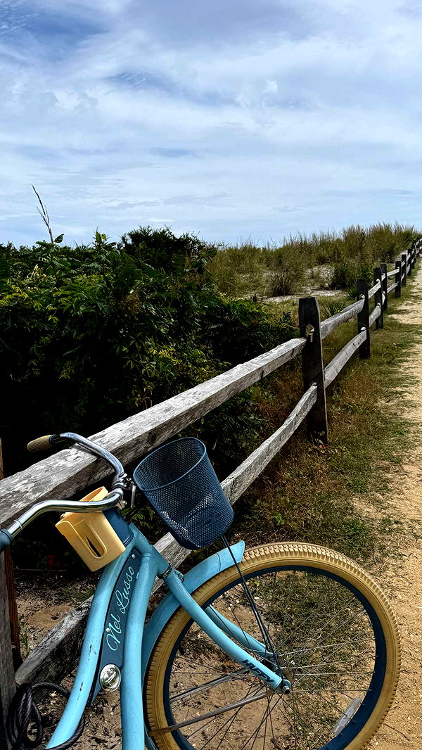 emilyelizabbeth image ~ Altpins