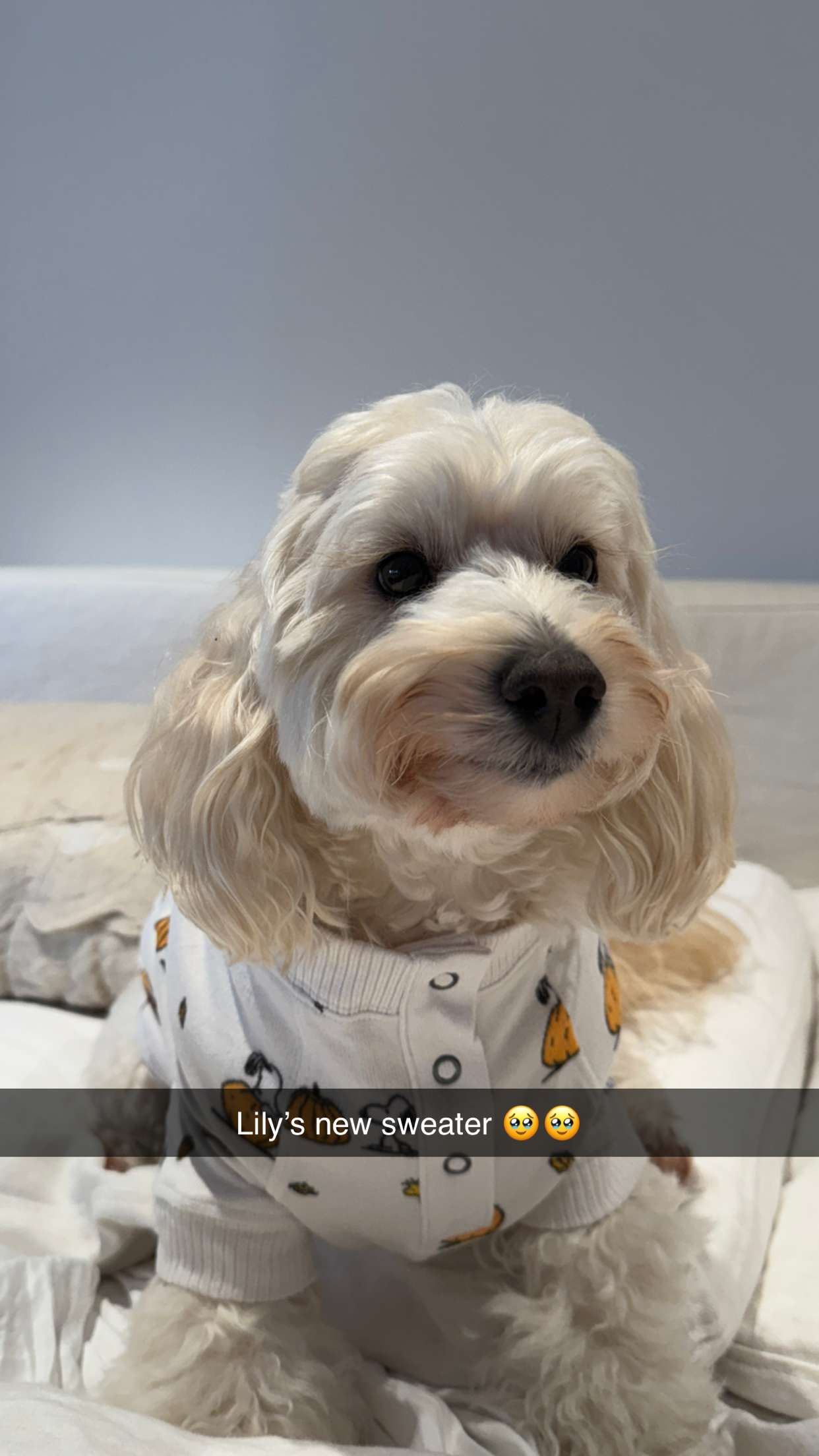 emilyelizabbeth snapchat image archive image