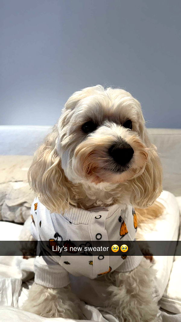 emilyelizabbeth image ~ Altpins