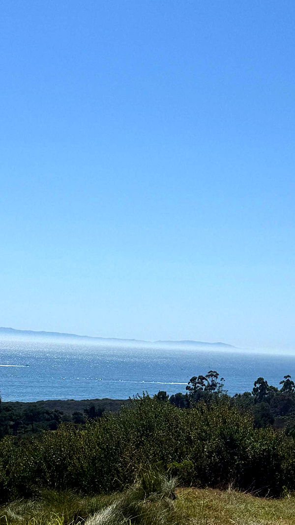 emilyelizabbeth image ~ Altpins