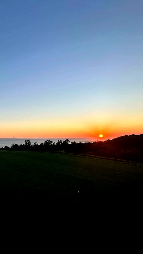 emilyelizabbeth image ~ Altpins