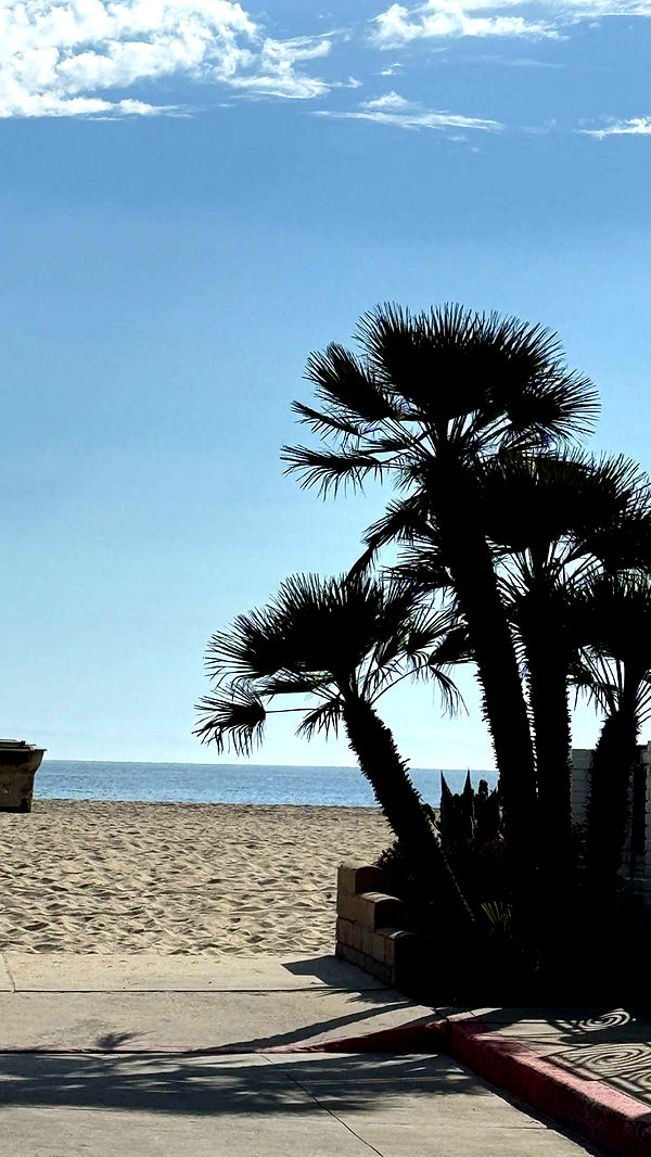 emilyelizabbeth image ~ Altpins