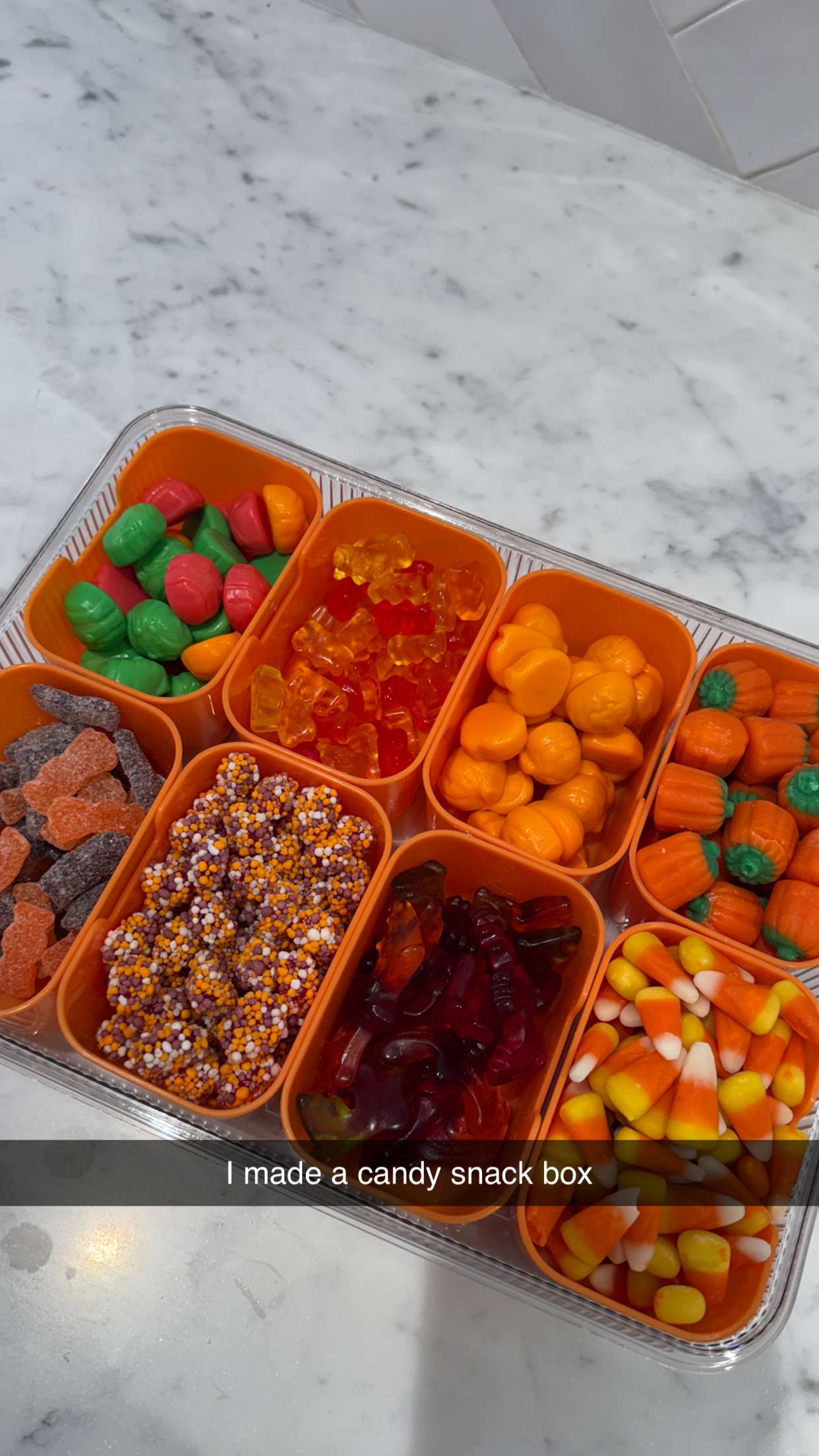 emilyelizabbeth snapchat image archive image