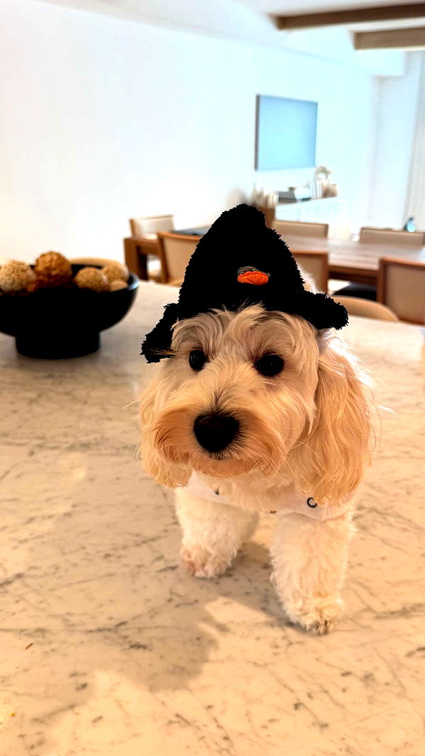 emilyelizabbeth image ~ Altpins