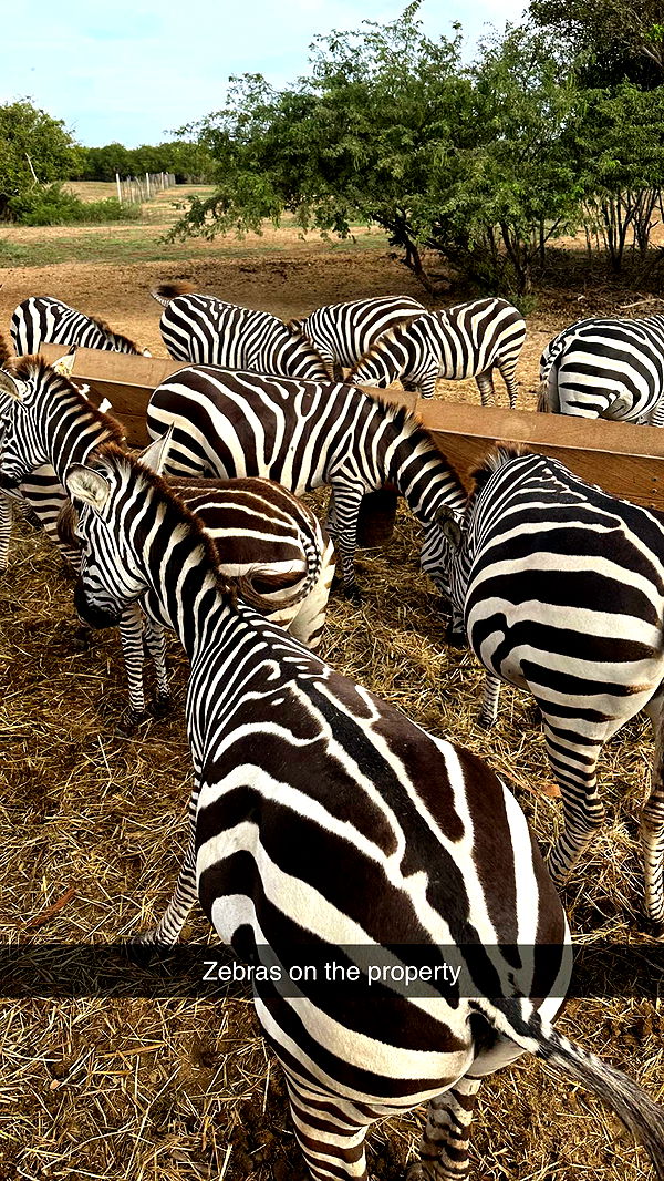 emilyelizabbeth image ~ Altpins