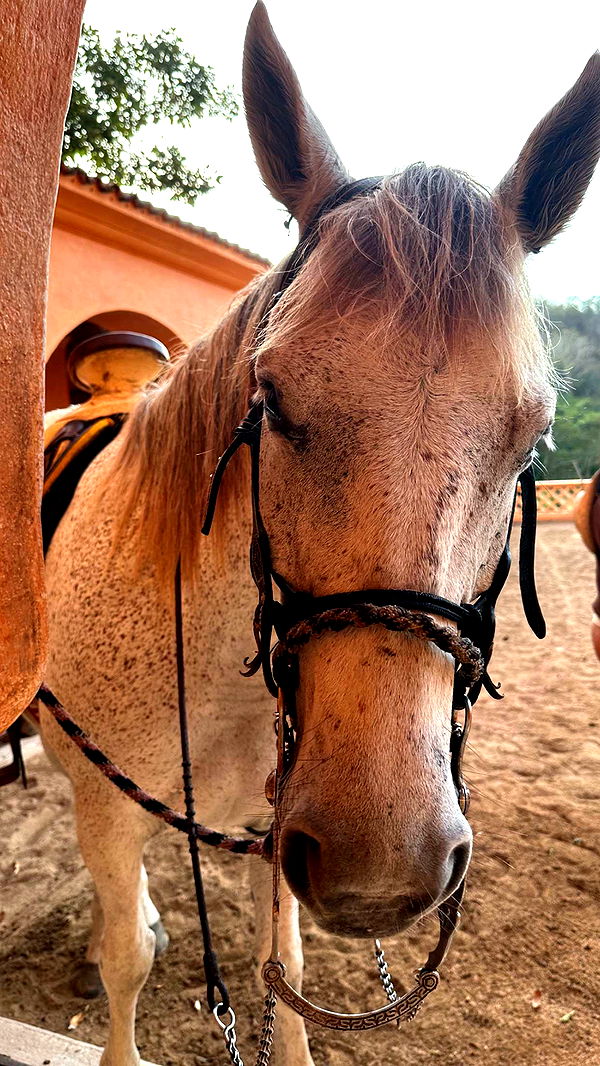 emilyelizabbeth image ~ Altpins