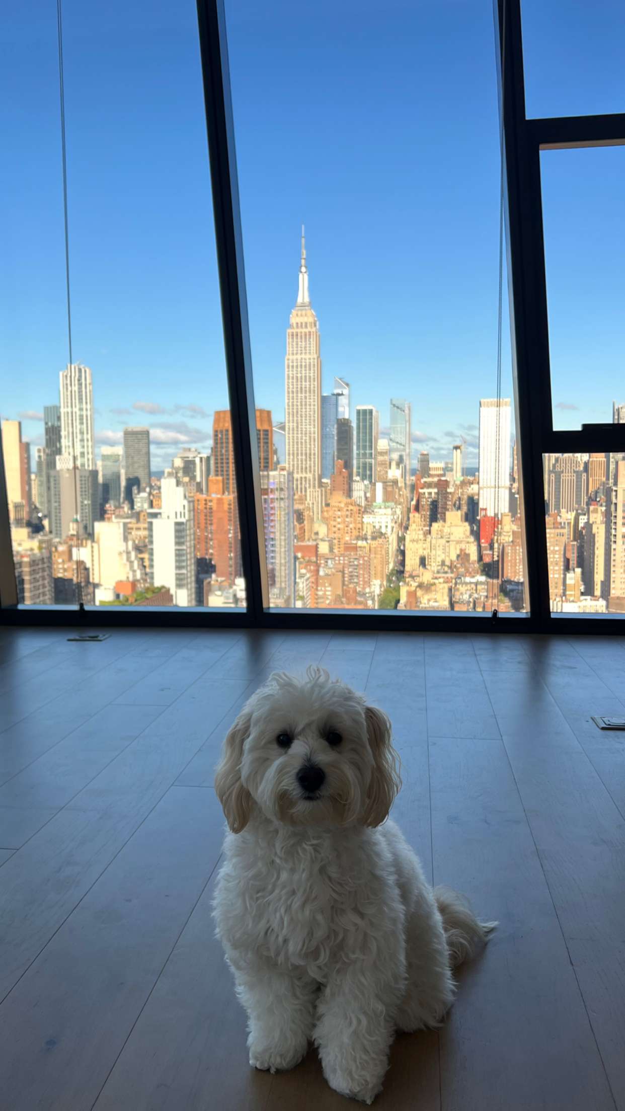 emilyelizabbeth snapchat image archive image