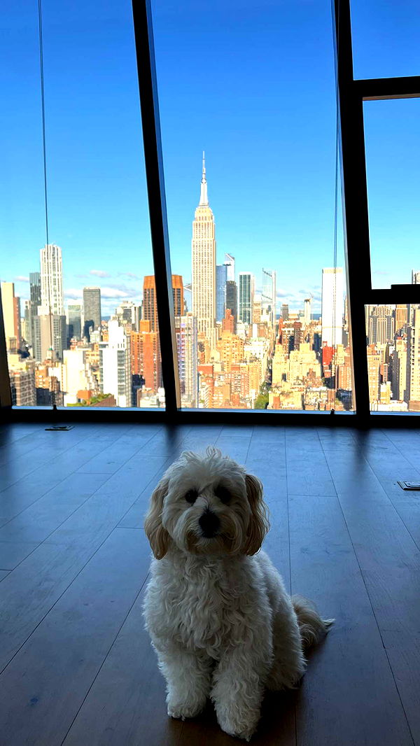 emilyelizabbeth image ~ Altpins