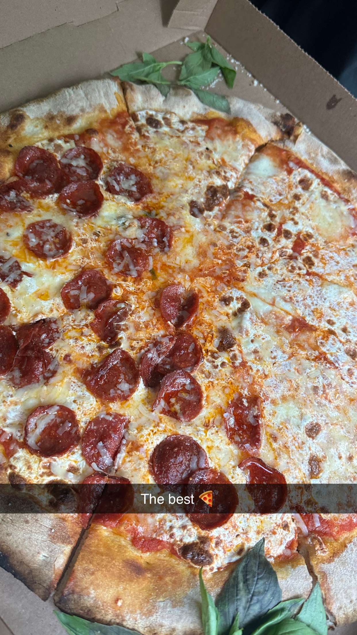 emilyelizabbeth snapchat image archive image