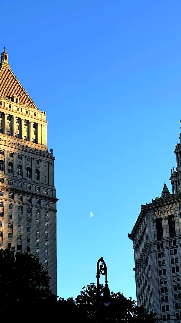 emilyelizabbeth image ~ Altpins