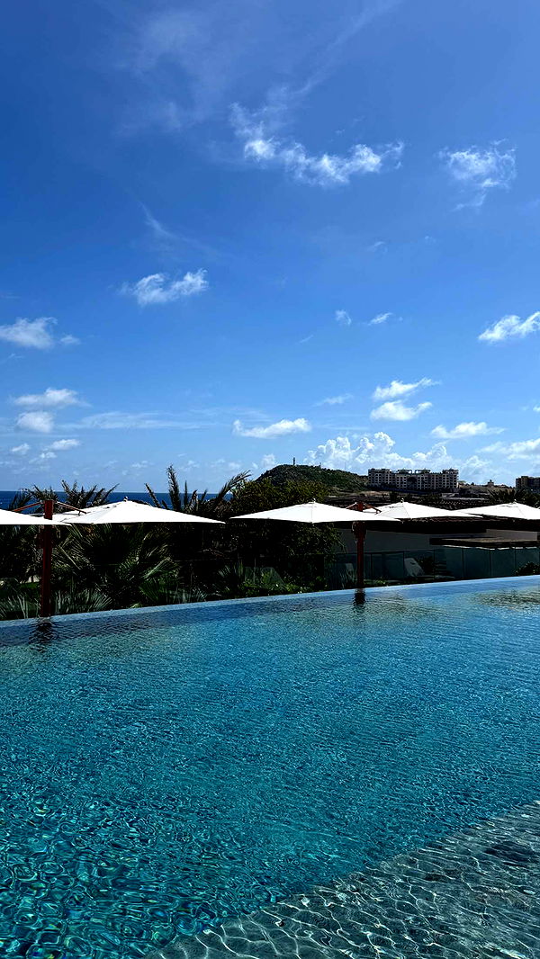 emilyelizabbeth image ~ Altpins