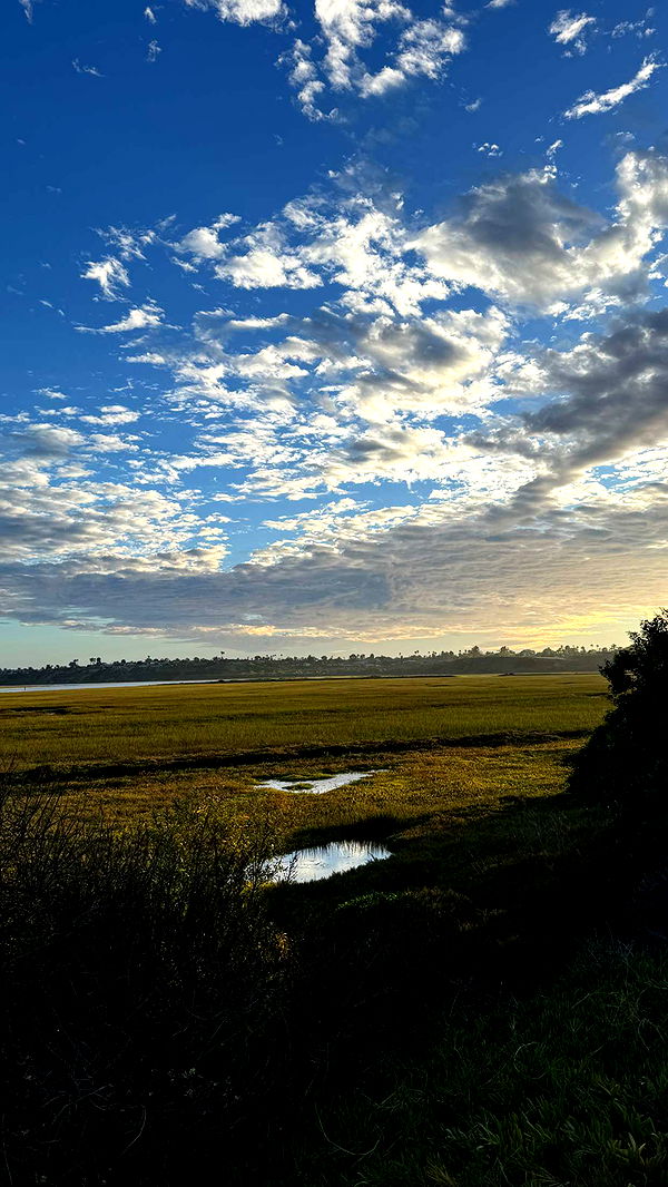 emilyelizabbeth image ~ Altpins