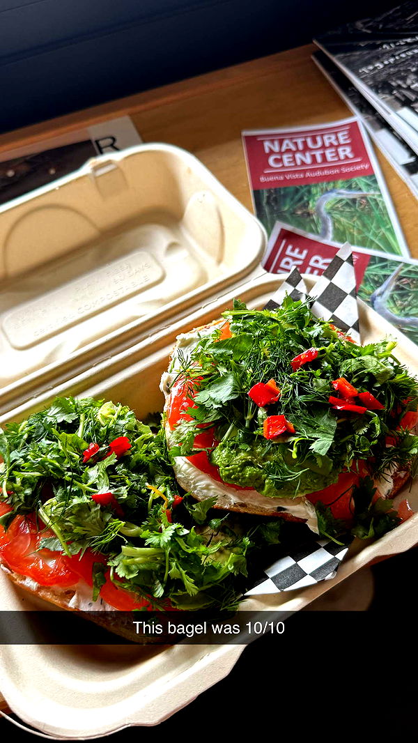 emilyelizabbeth image ~ Altpins