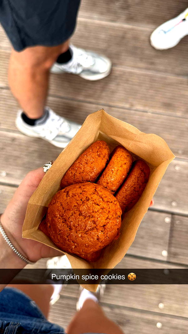 emilyelizabbeth image ~ Altpins