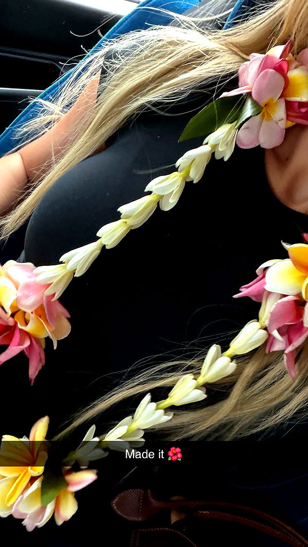 emilyelizabbeth image ~ Altpins