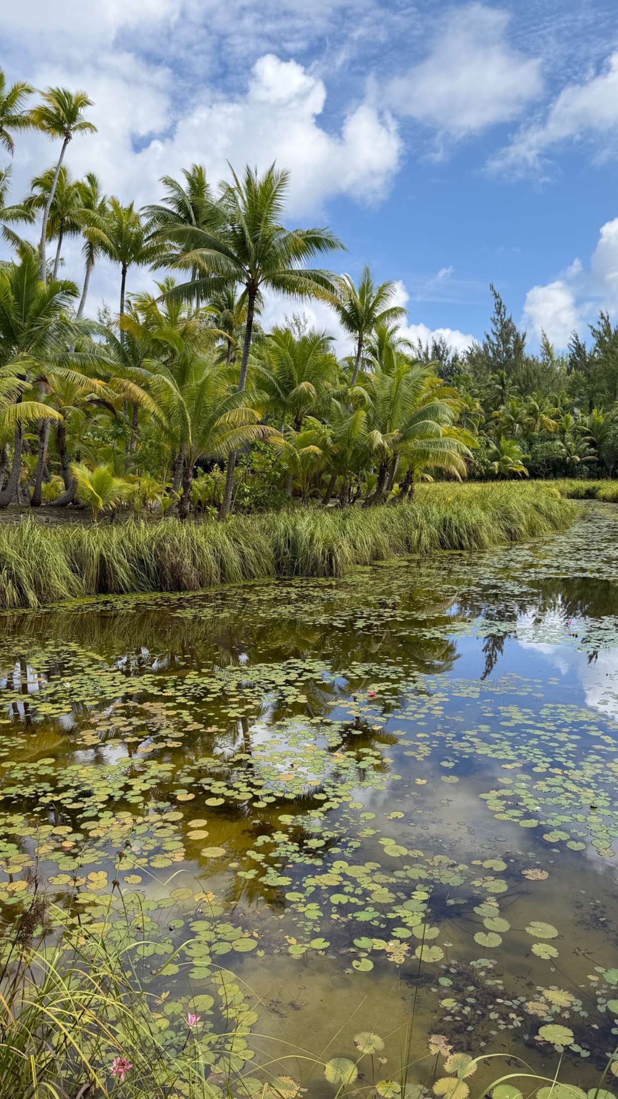 emilyelizabbeth snapchat image archive image