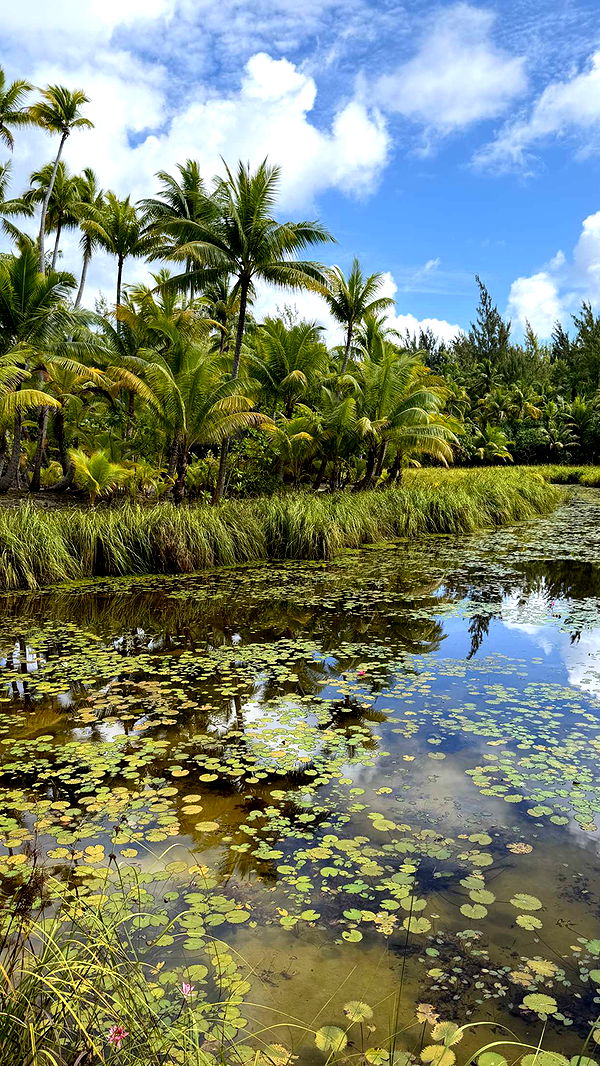 emilyelizabbeth image ~ Altpins