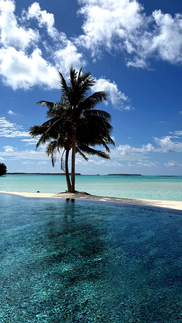 emilyelizabbeth image ~ Altpins