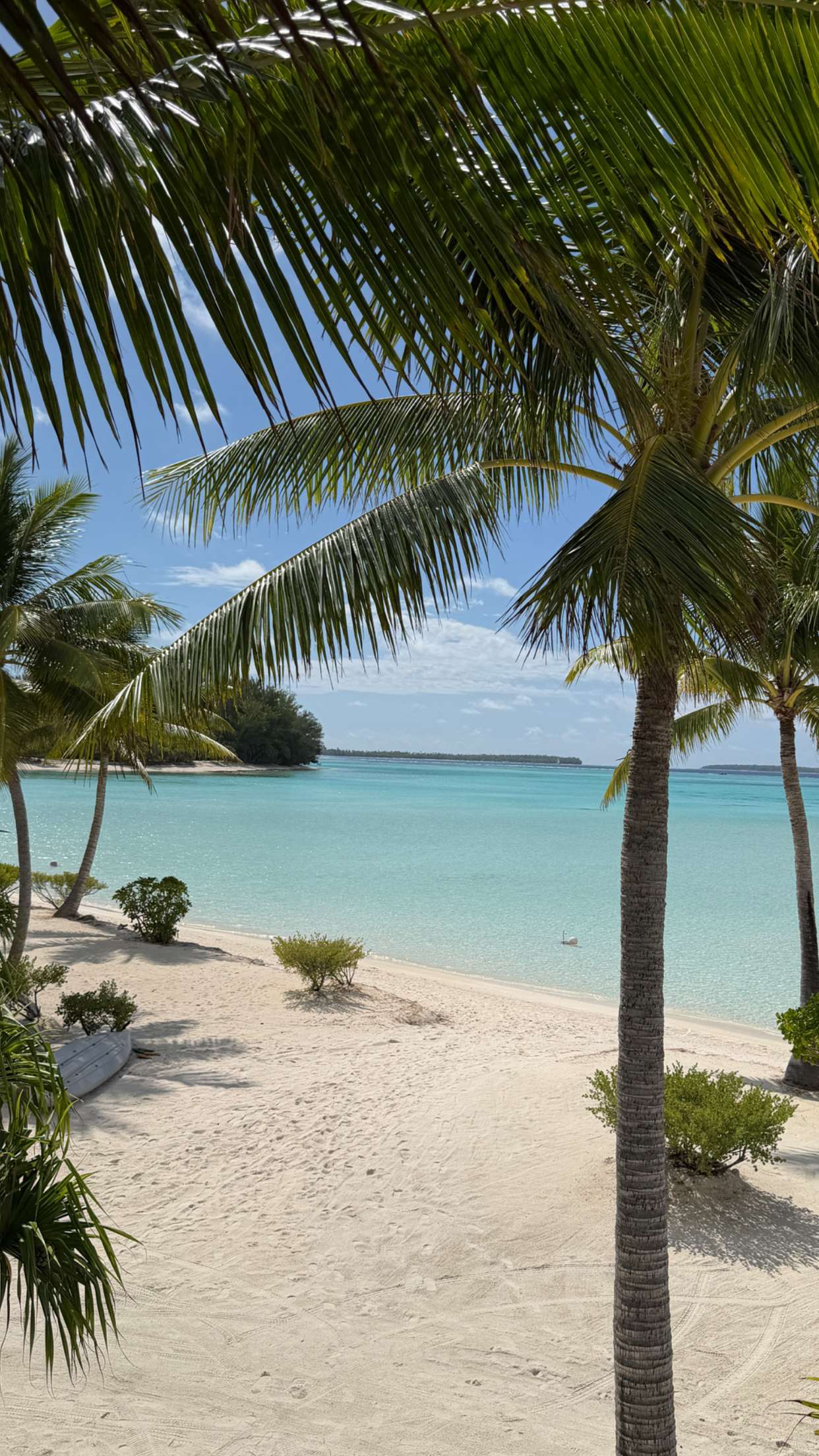 emilyelizabbeth snapchat image archive image