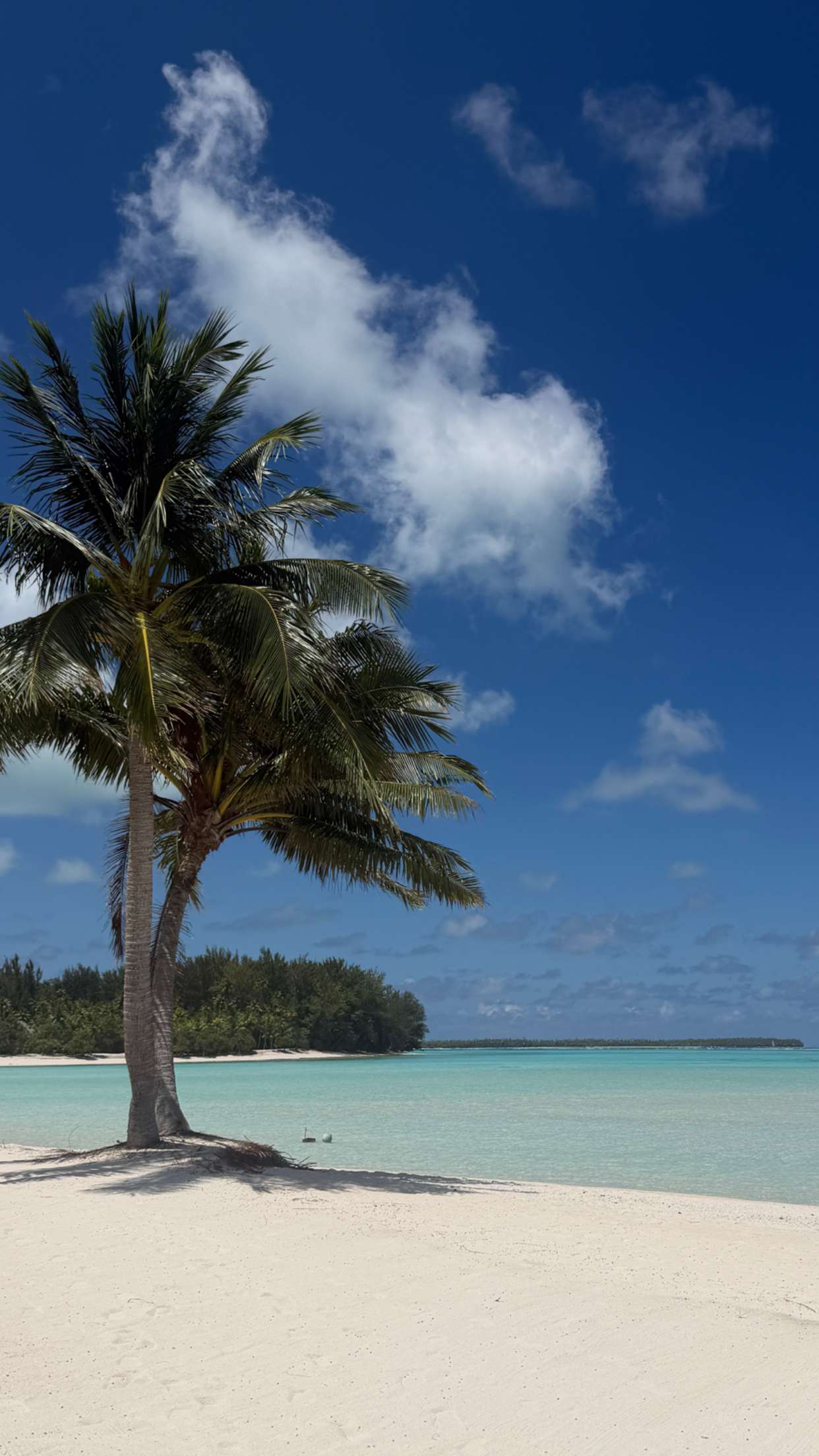 emilyelizabbeth snapchat image archive image