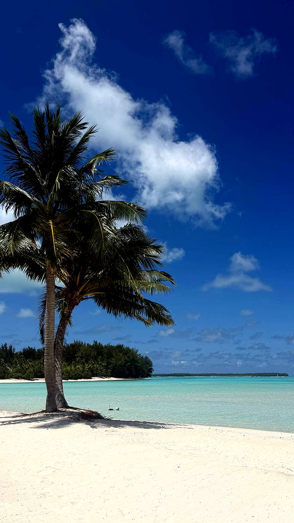 emilyelizabbeth image ~ Altpins