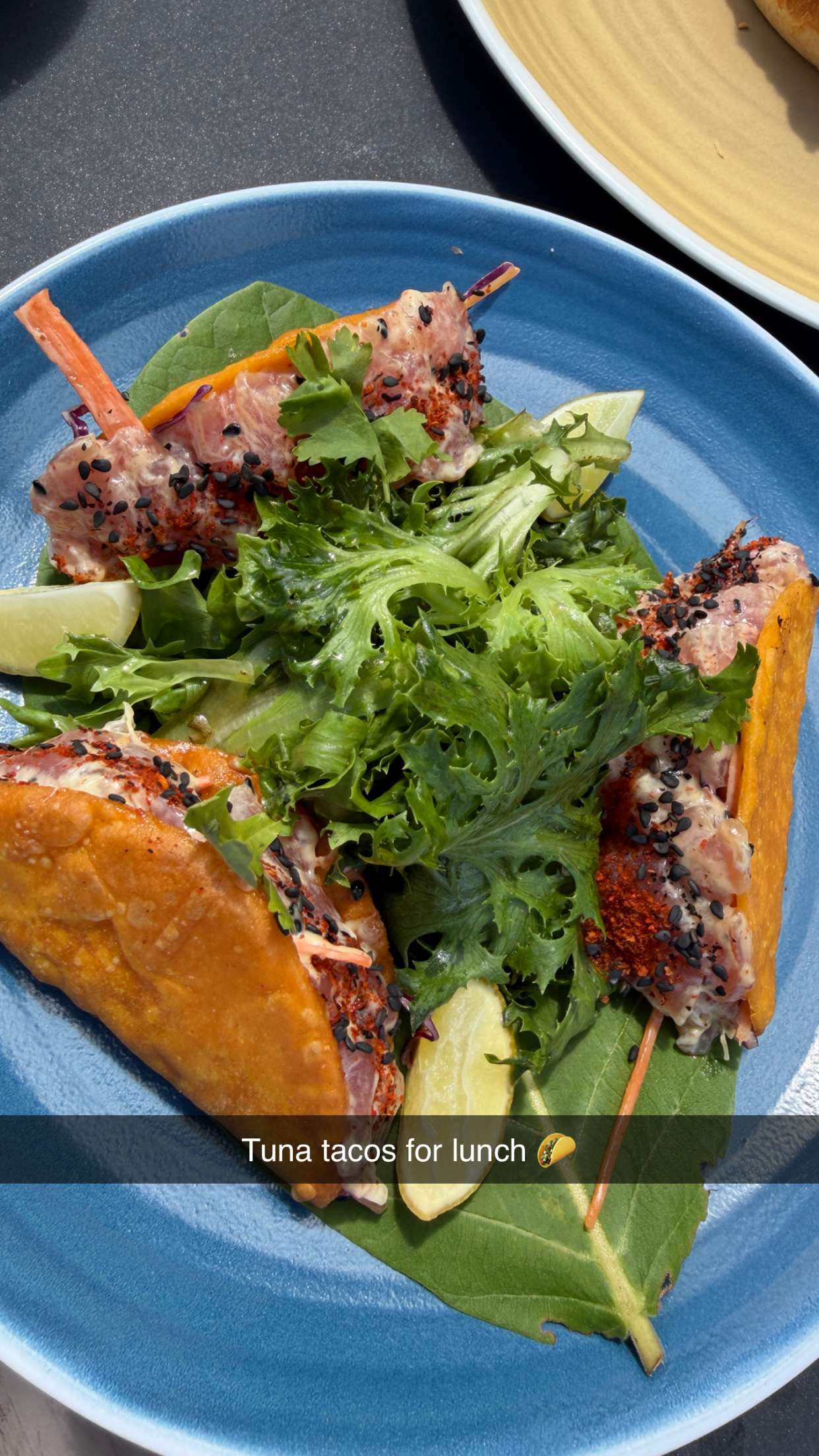 emilyelizabbeth snapchat image archive image