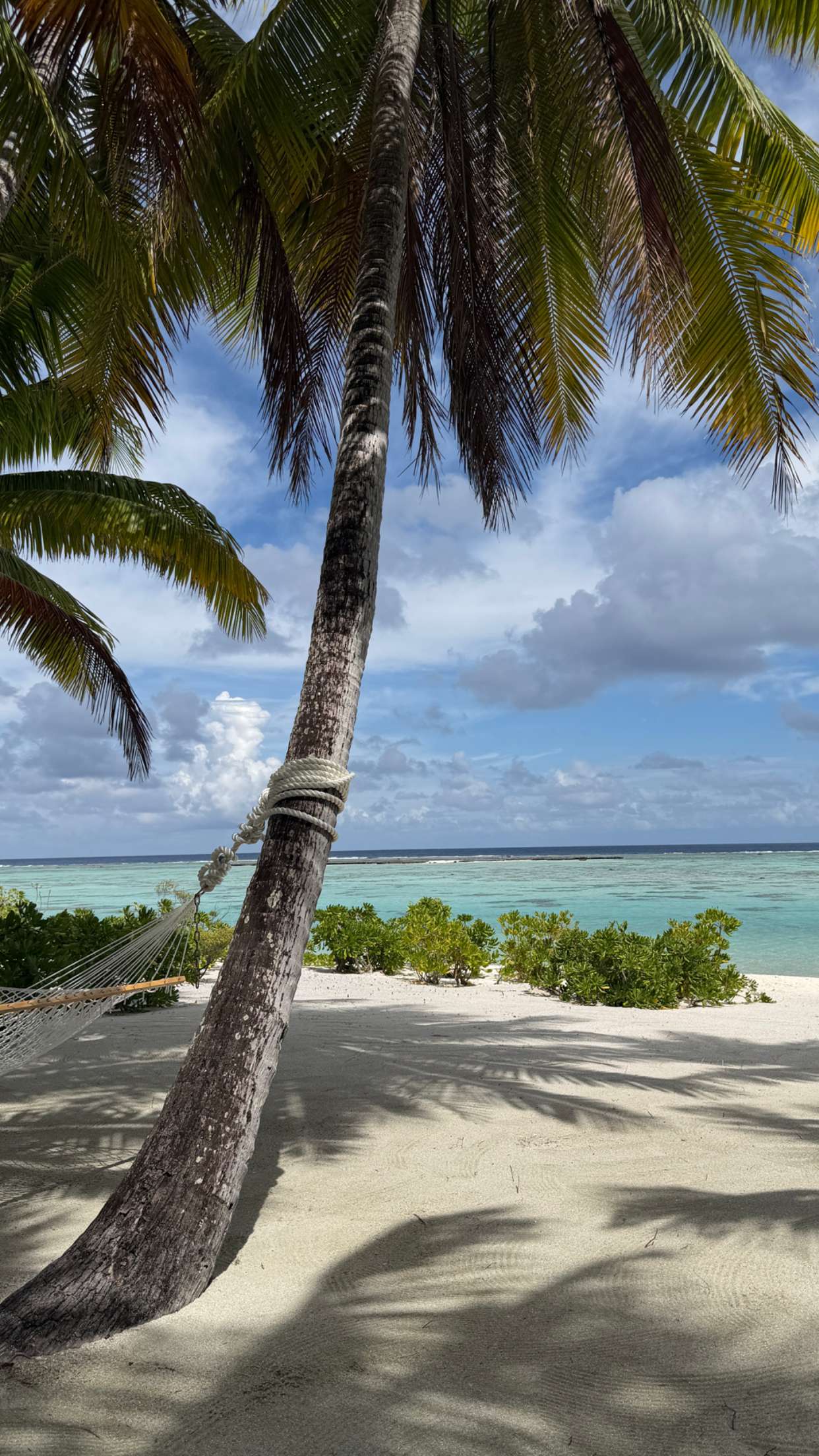 emilyelizabbeth snapchat image archive image