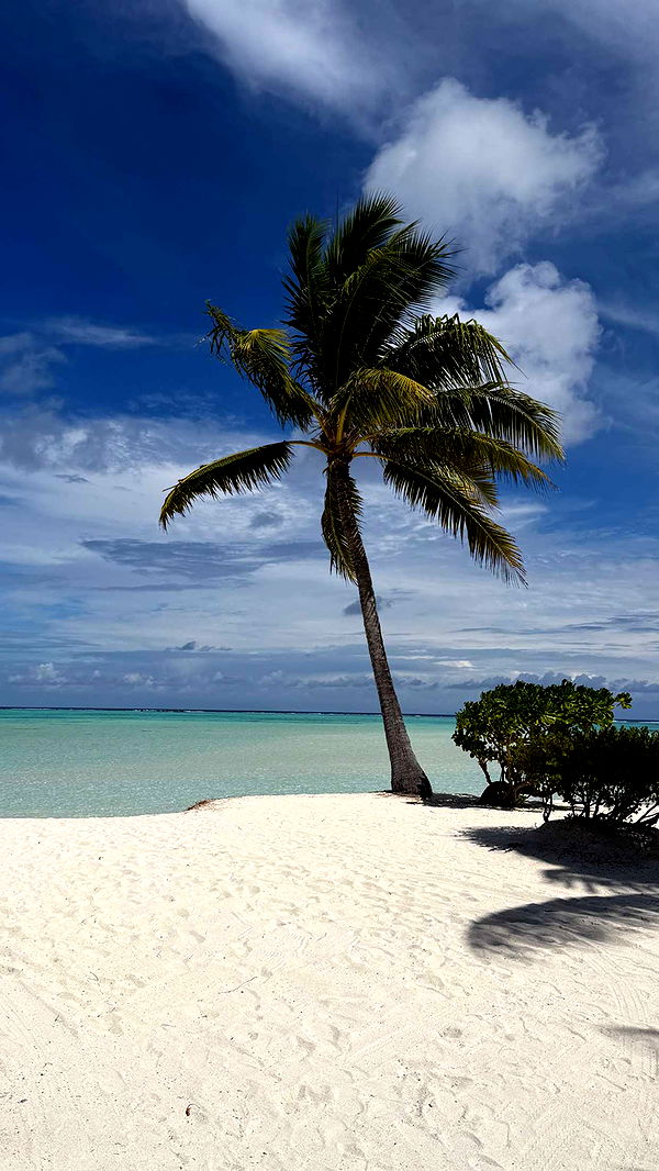 emilyelizabbeth image ~ Altpins