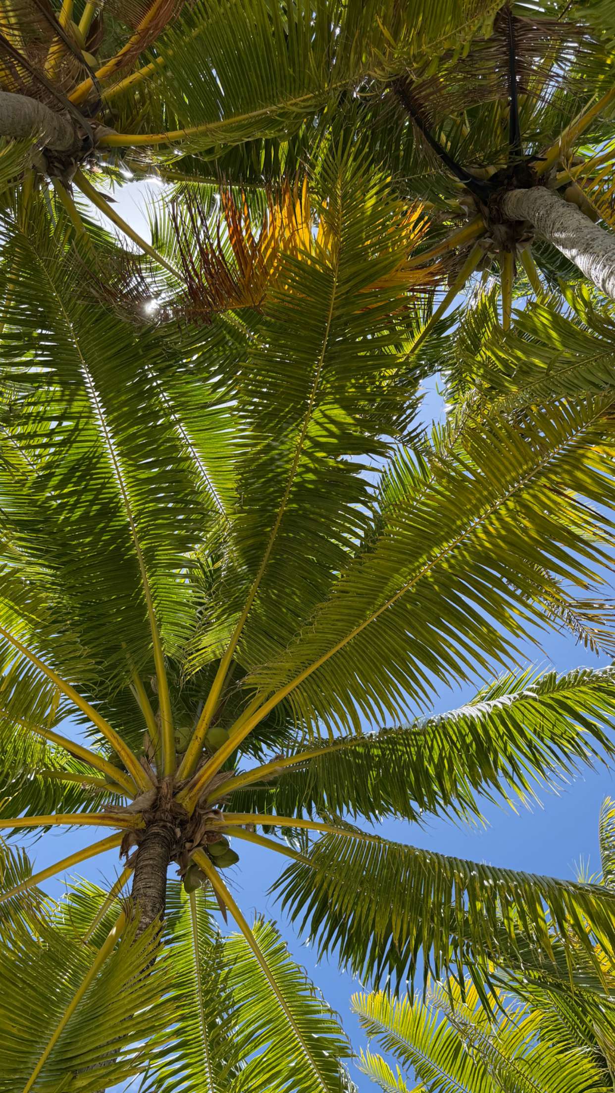 emilyelizabbeth snapchat image archive image