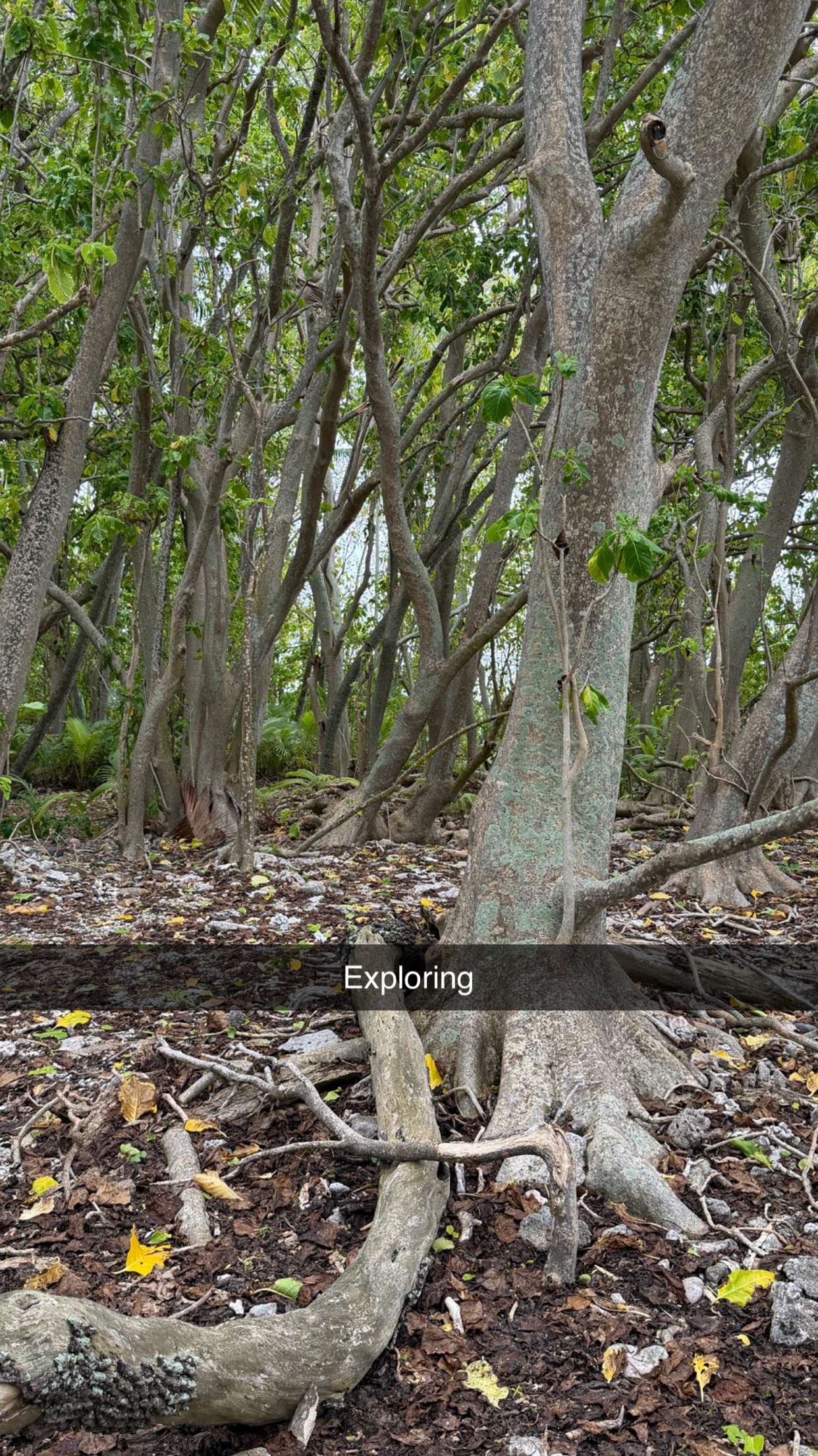 emilyelizabbeth snapchat image archive image