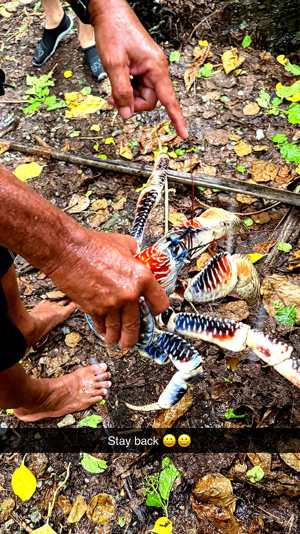 emilyelizabbeth image ~ Altpins