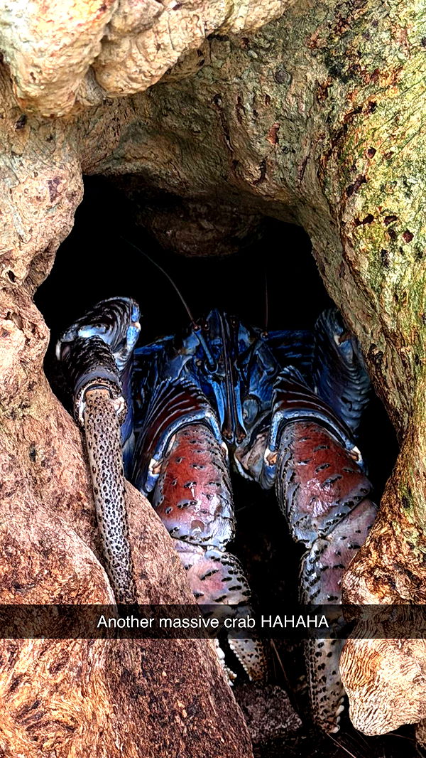 emilyelizabbeth image ~ Altpins