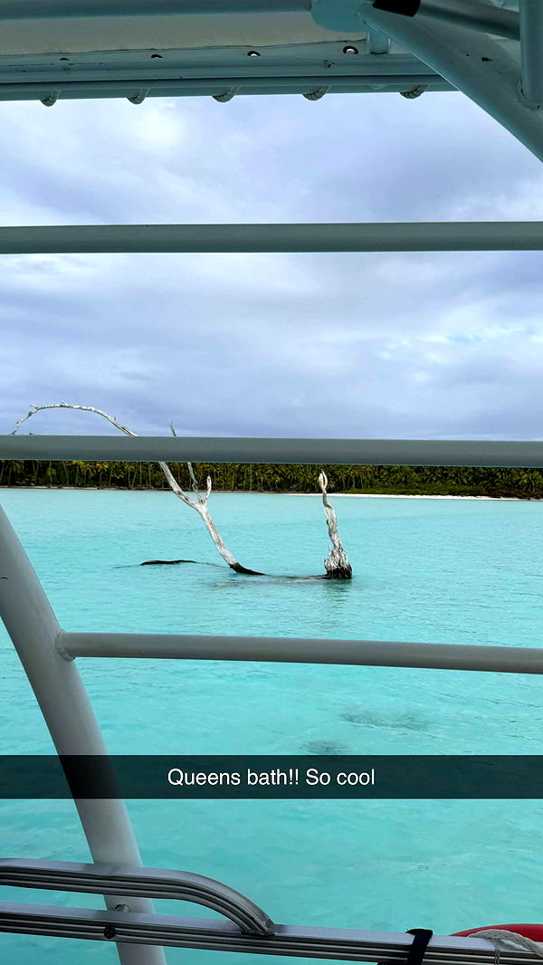 emilyelizabbeth image ~ Altpins