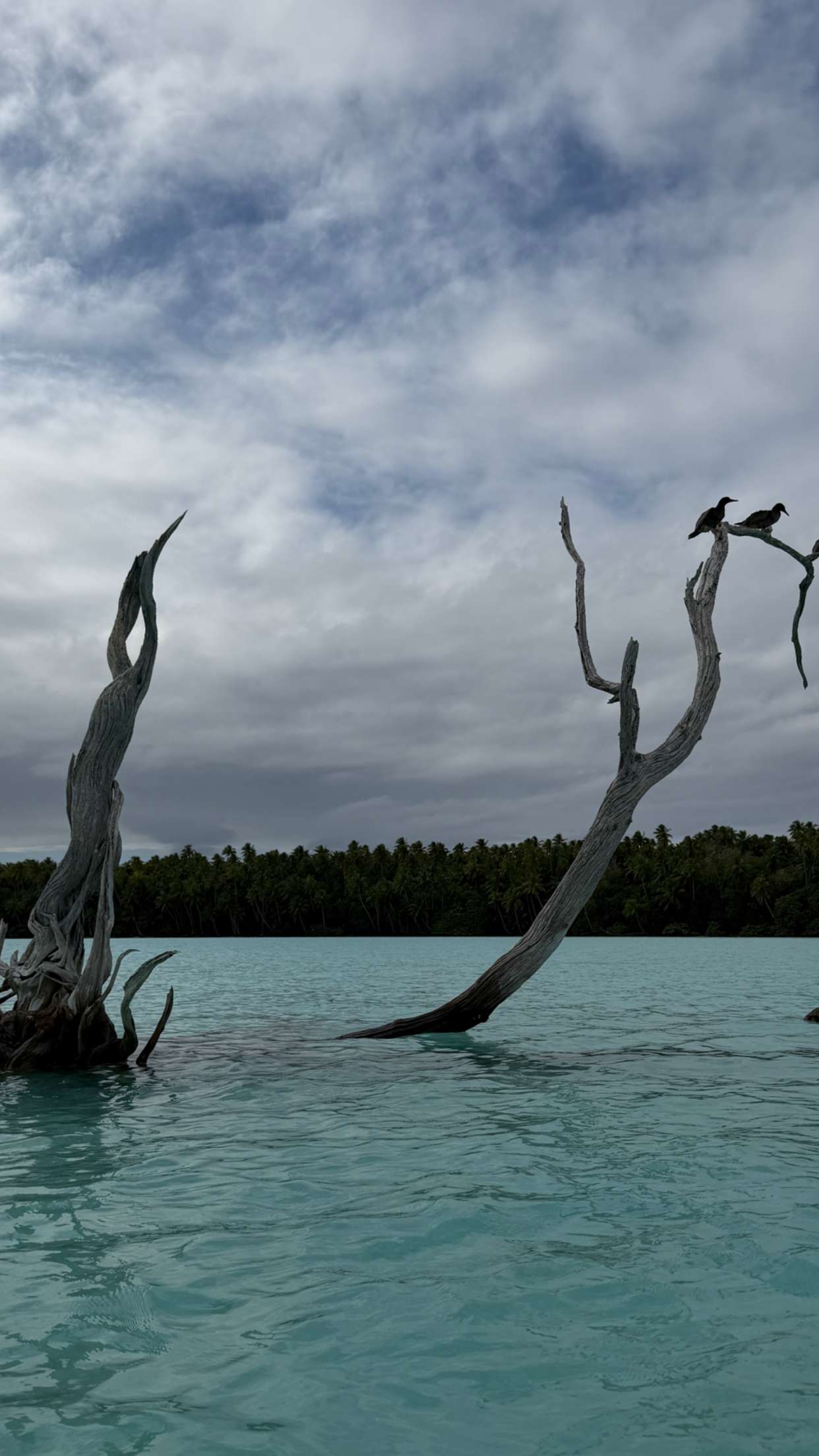 emilyelizabbeth snapchat image archive image