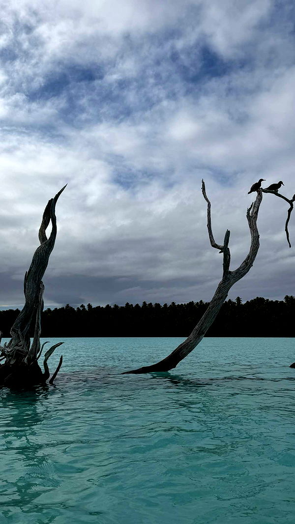 emilyelizabbeth image ~ Altpins