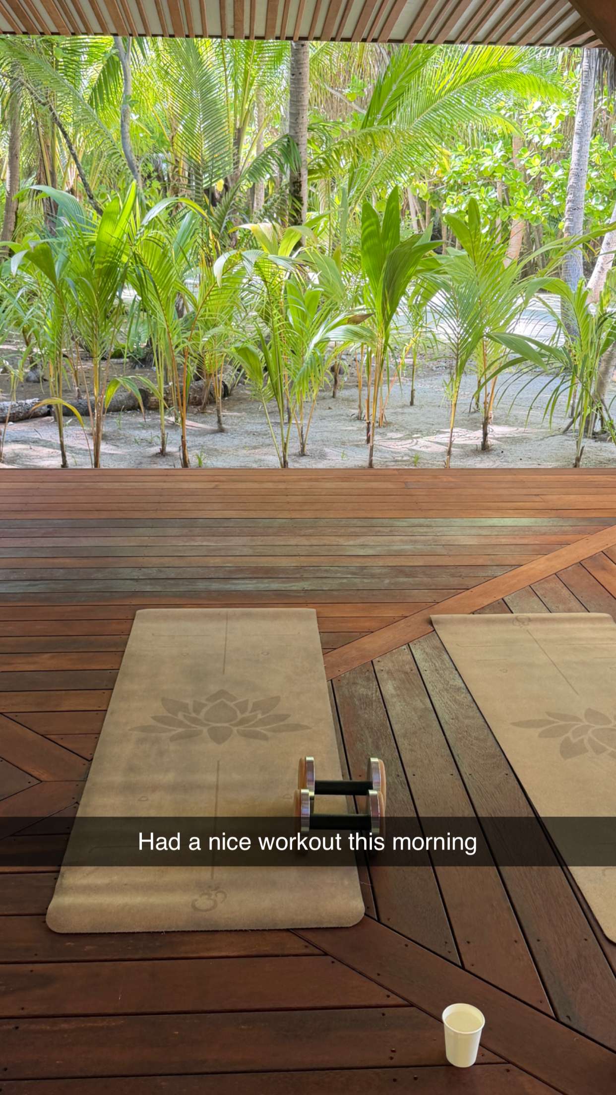 emilyelizabbeth snapchat image archive image