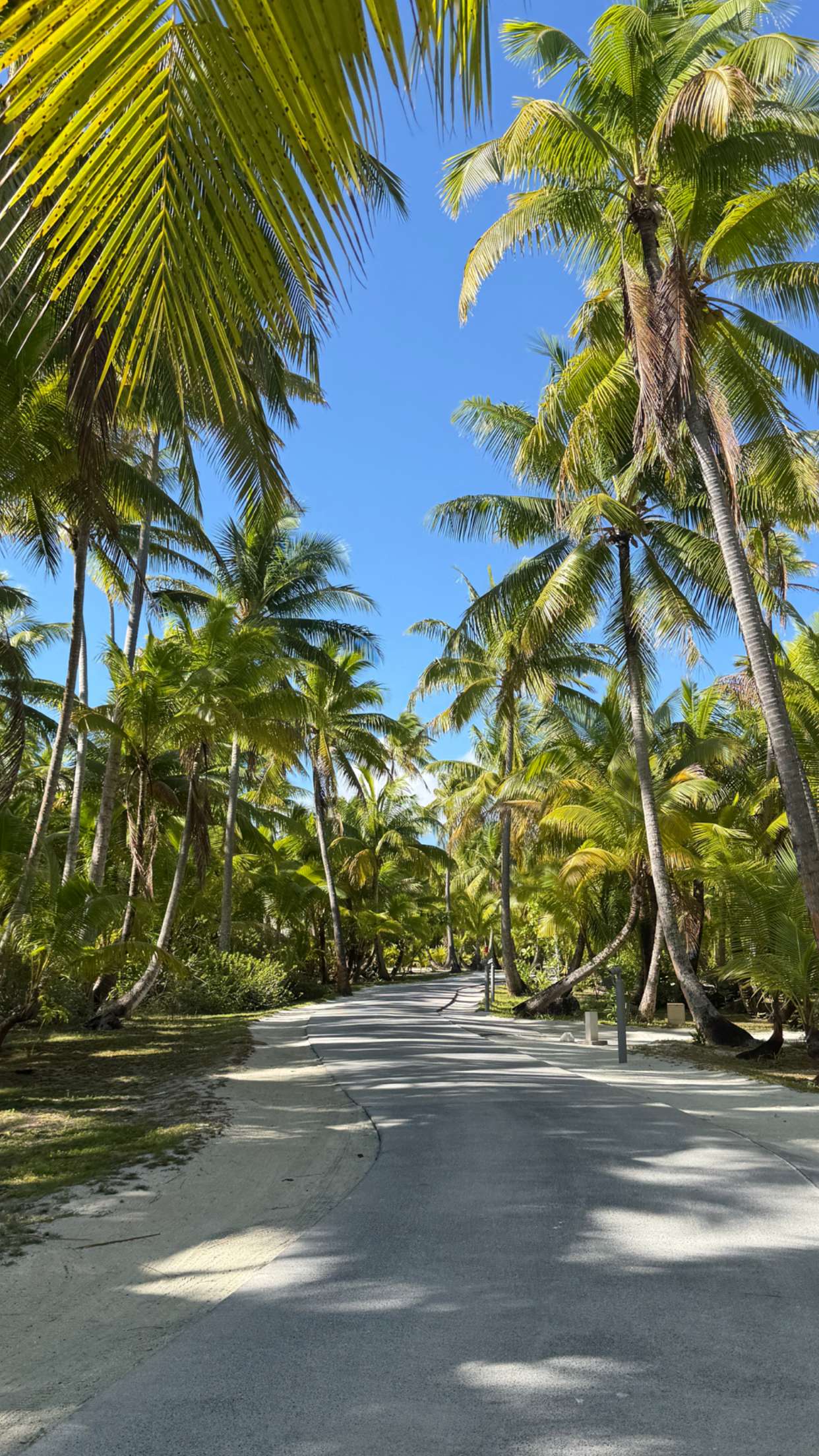 emilyelizabbeth snapchat image archive image