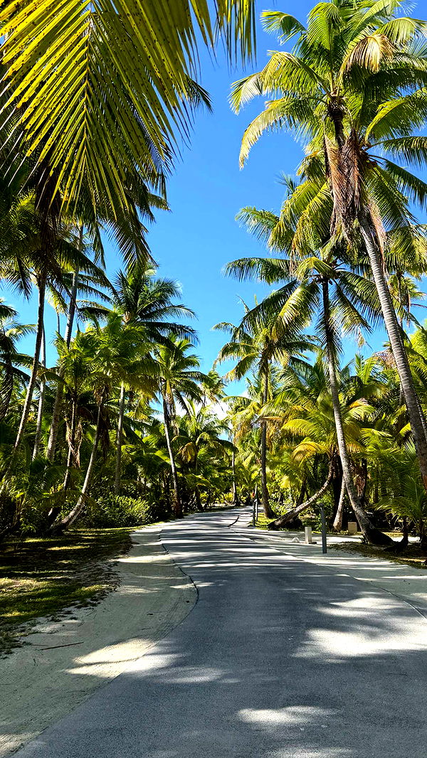 emilyelizabbeth image ~ Altpins