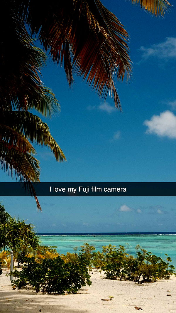 emilyelizabbeth image ~ Altpins