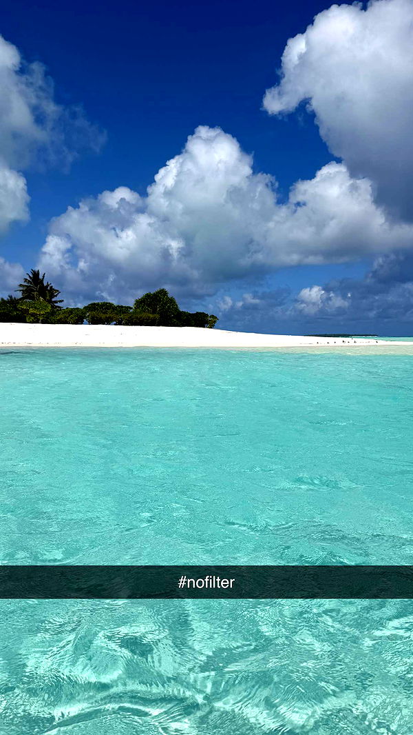 emilyelizabbeth image ~ Altpins