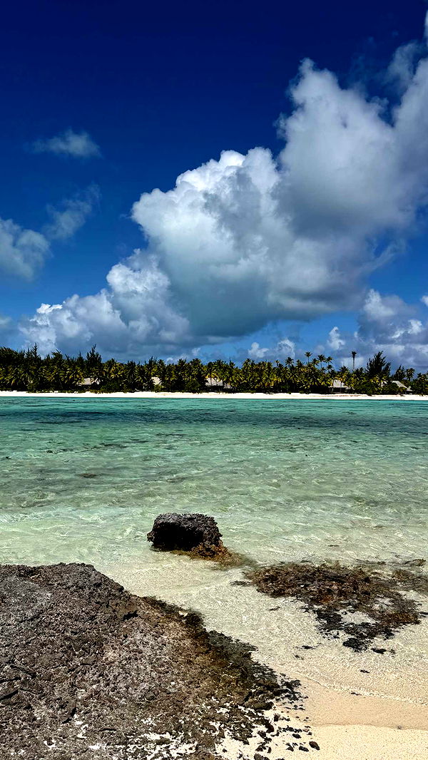 emilyelizabbeth image ~ Altpins