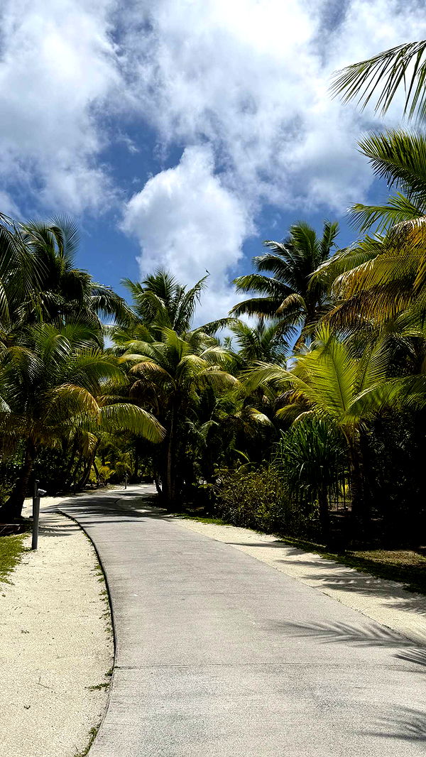 emilyelizabbeth image ~ Altpins