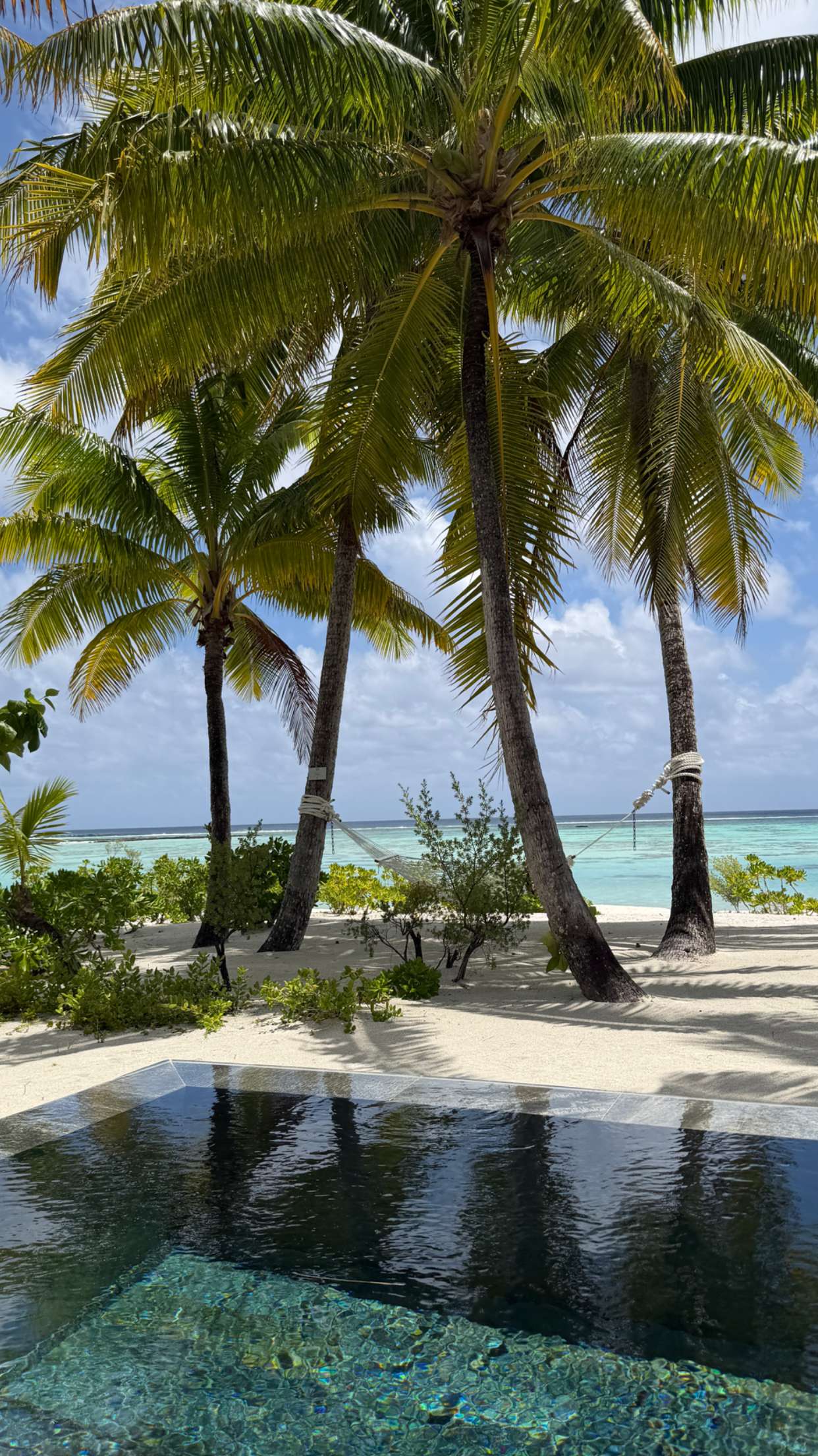 emilyelizabbeth snapchat image archive image