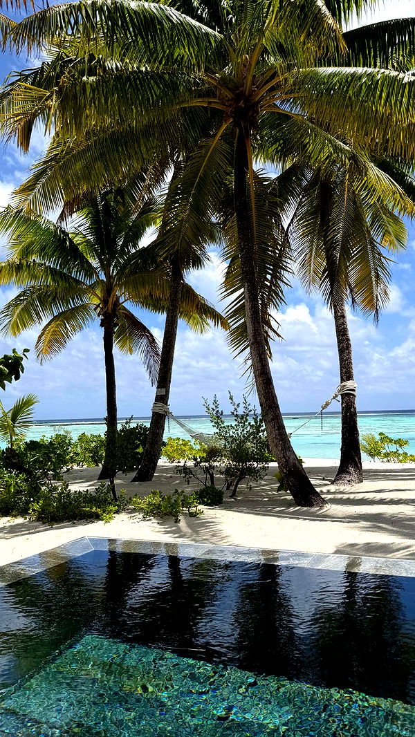 emilyelizabbeth image ~ Altpins