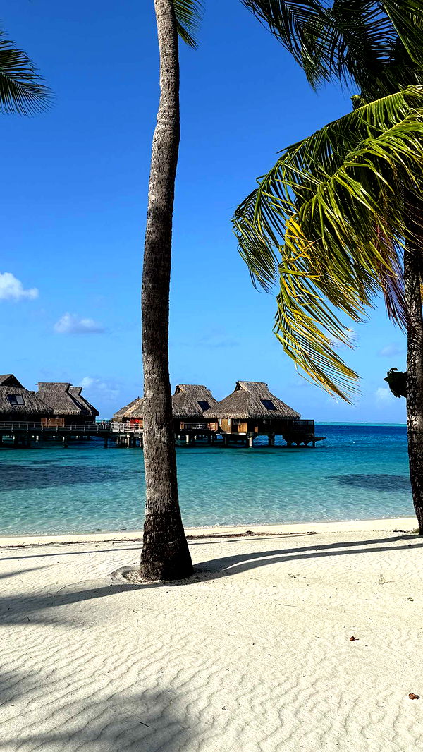 emilyelizabbeth image ~ Altpins