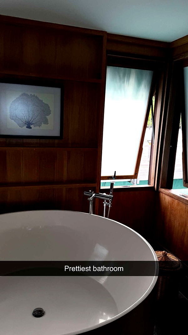 emilyelizabbeth image ~ Altpins